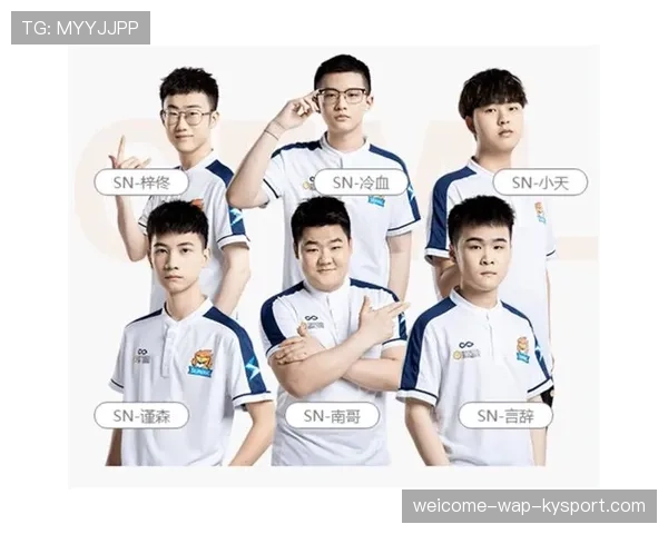 青少年运动员从青训体系进入职业圈的门槛分析